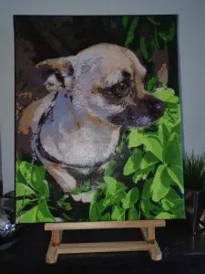 pintarpornumerostienda