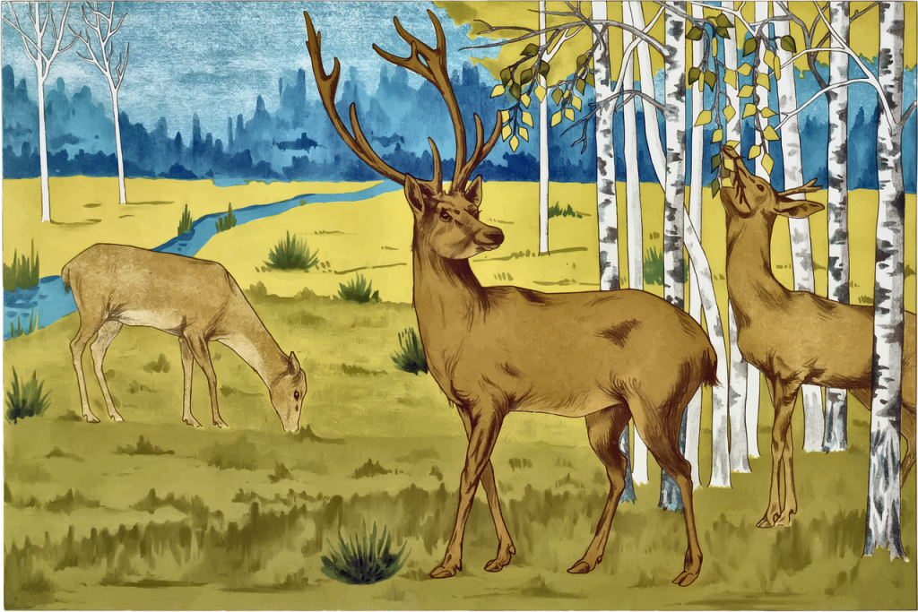 Kits de pintura por números