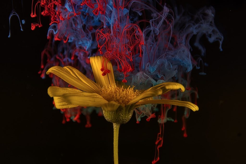 Prevenir el dolor de espalda al pintar por números