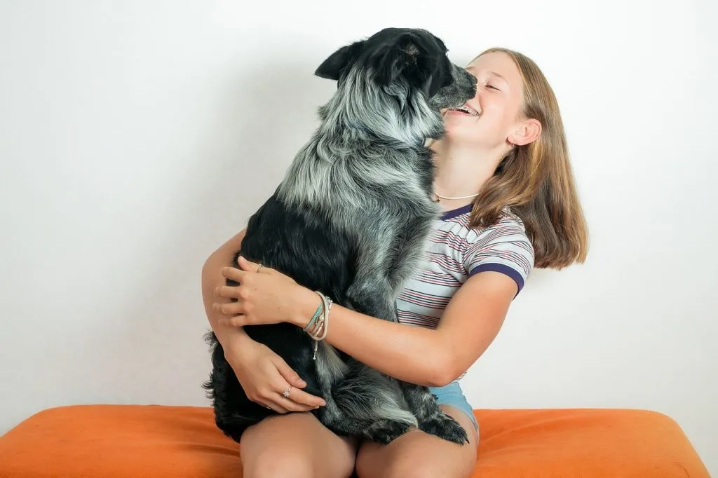 Un cuadro por número de su mascota