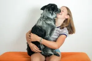 Un cuadro por número de su mascota