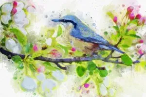 Los más bonitos kits de flores para pintar por números