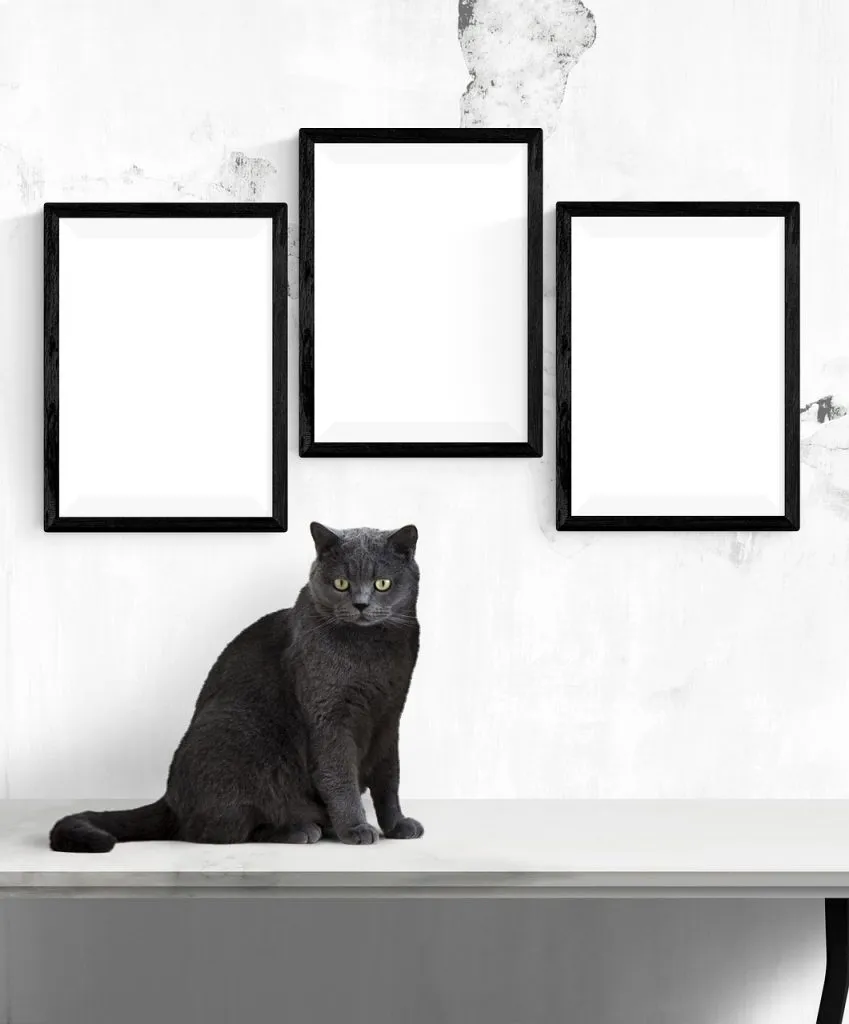 pintarpornumerostienda