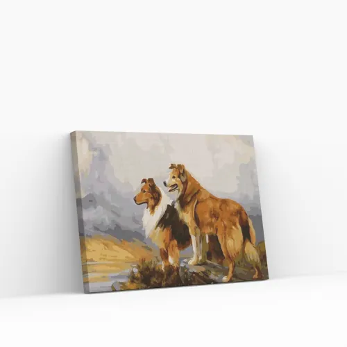 Pintar por Números - Dos hermosos perros