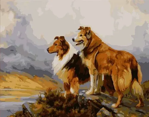 Pintar por Números - Dos hermosos perros