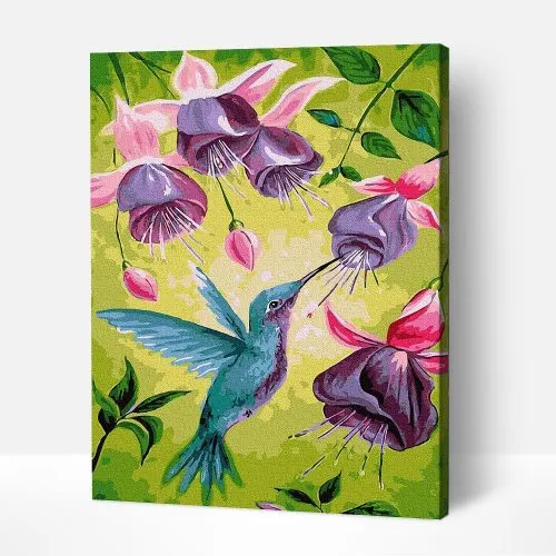 Pintar por Números - Colibrí