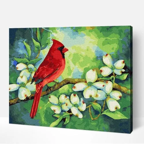 Pintar por Números - Cardenal