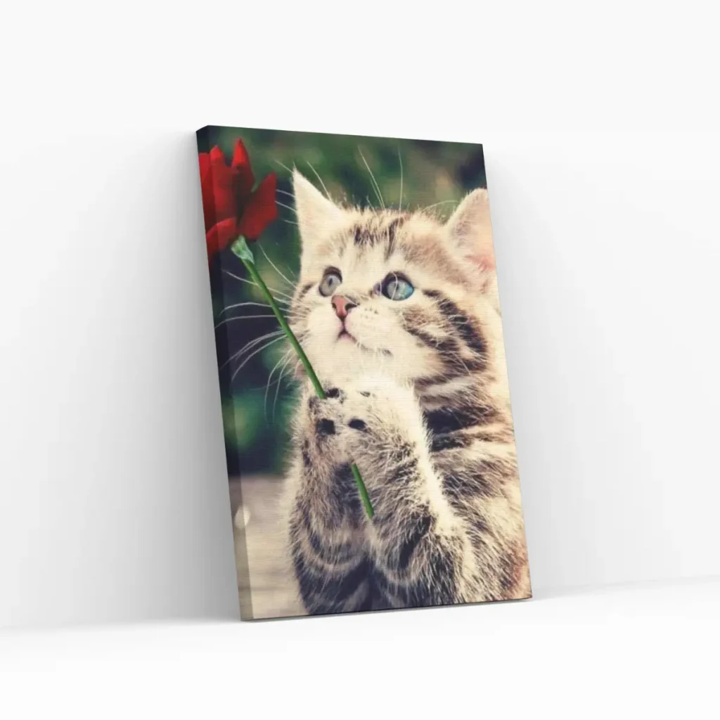 Pintar por Números - Gatita con rosa