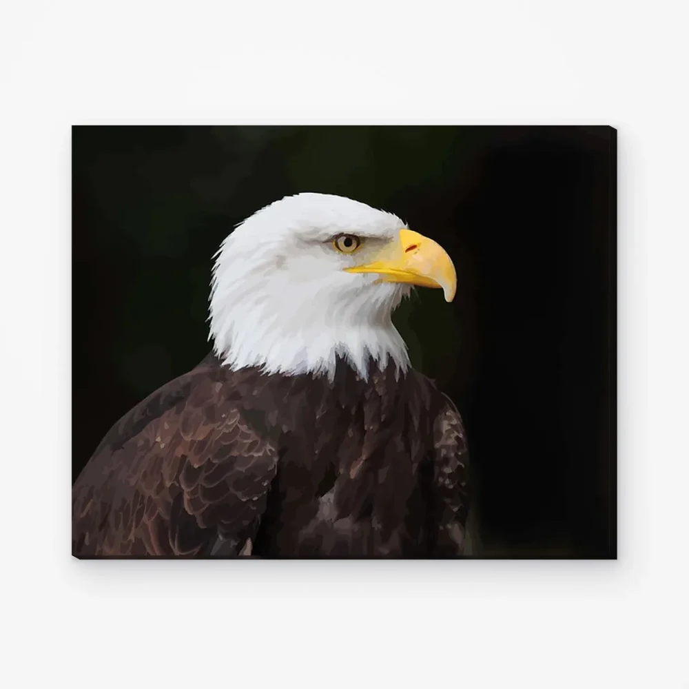 Pintar por Números - Cabeza de águila calva