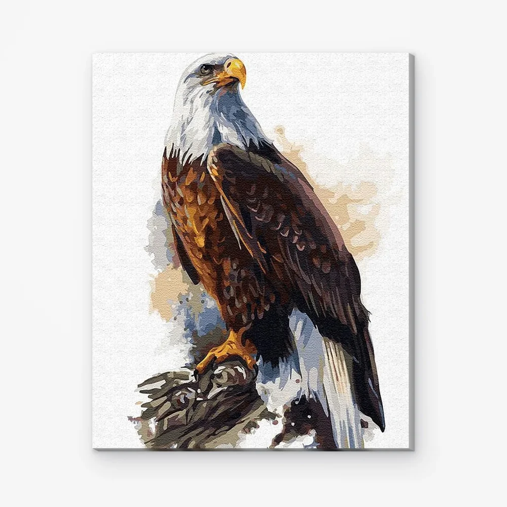Pintar por Números - Águila calva