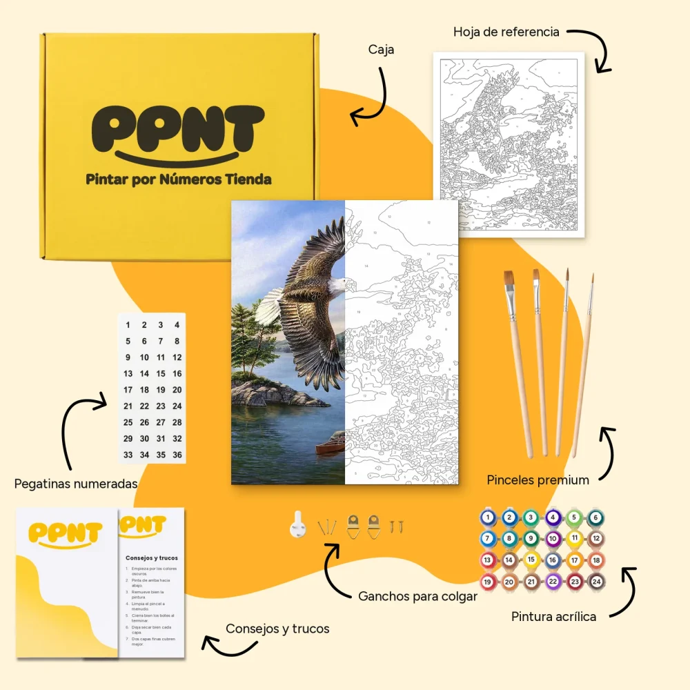 Pintar por Números - Águila del Patrimonio