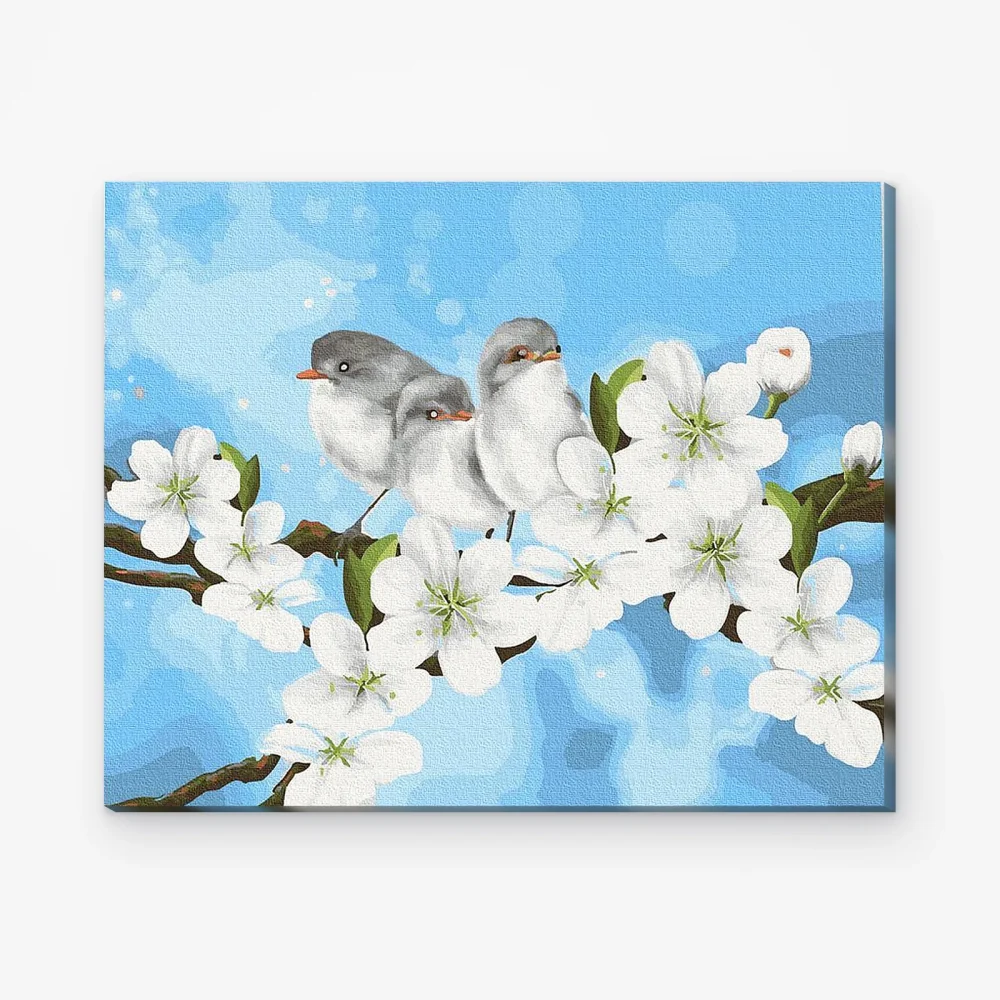 Pintar por Números - Aves de traspatio
