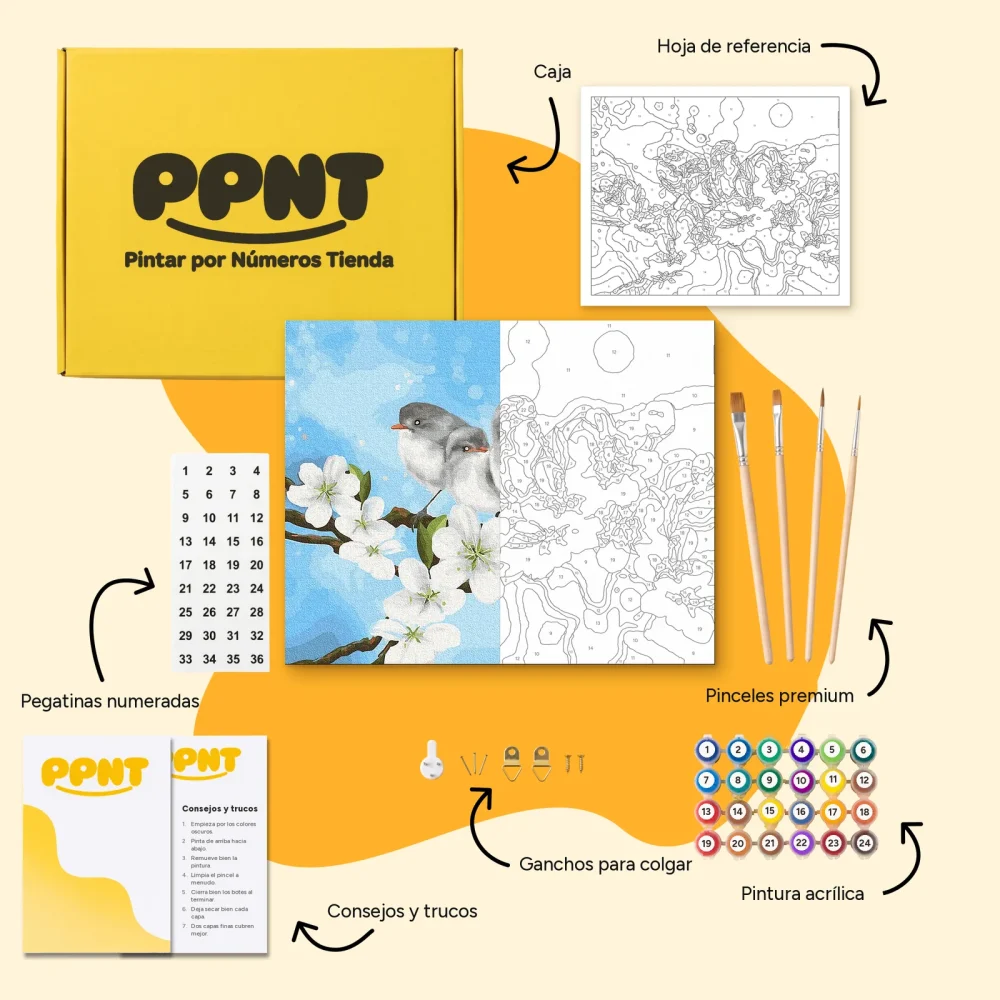 Pintar por Números - Aves de traspatio