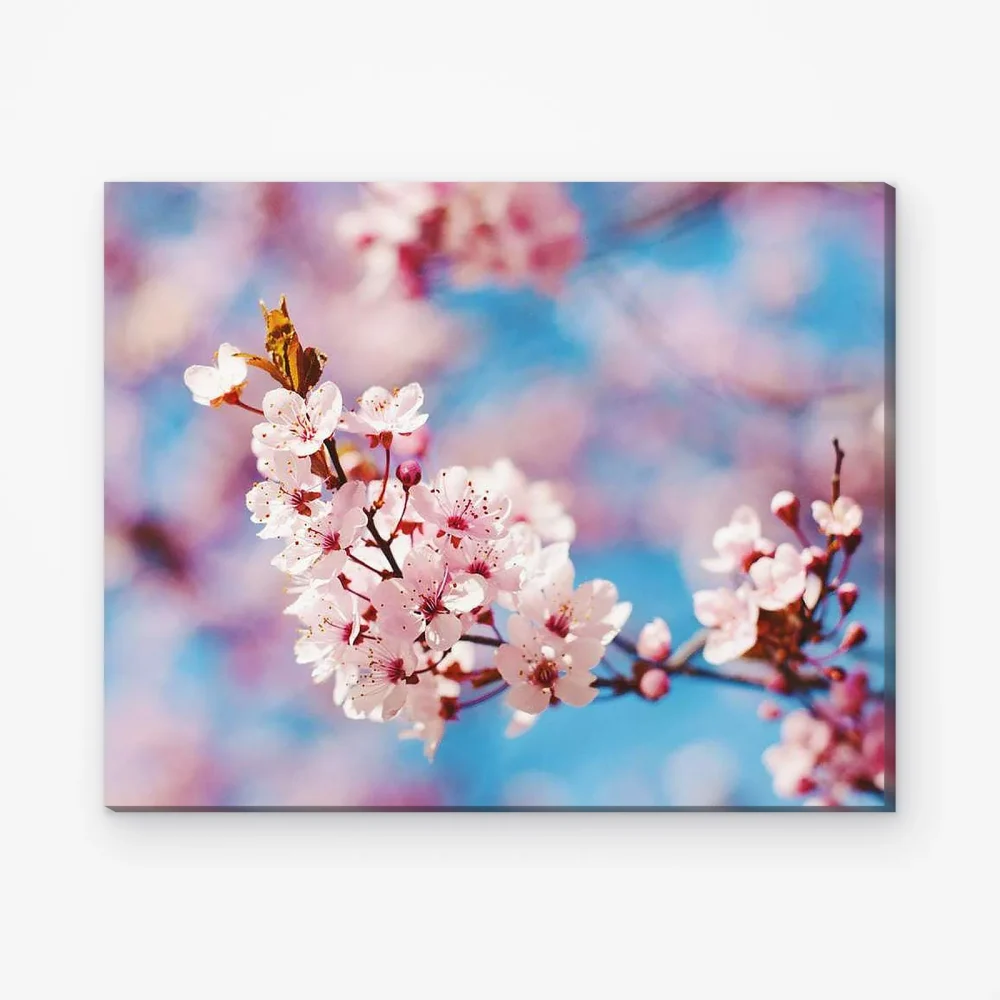 Pintar por Números - Bella Flor