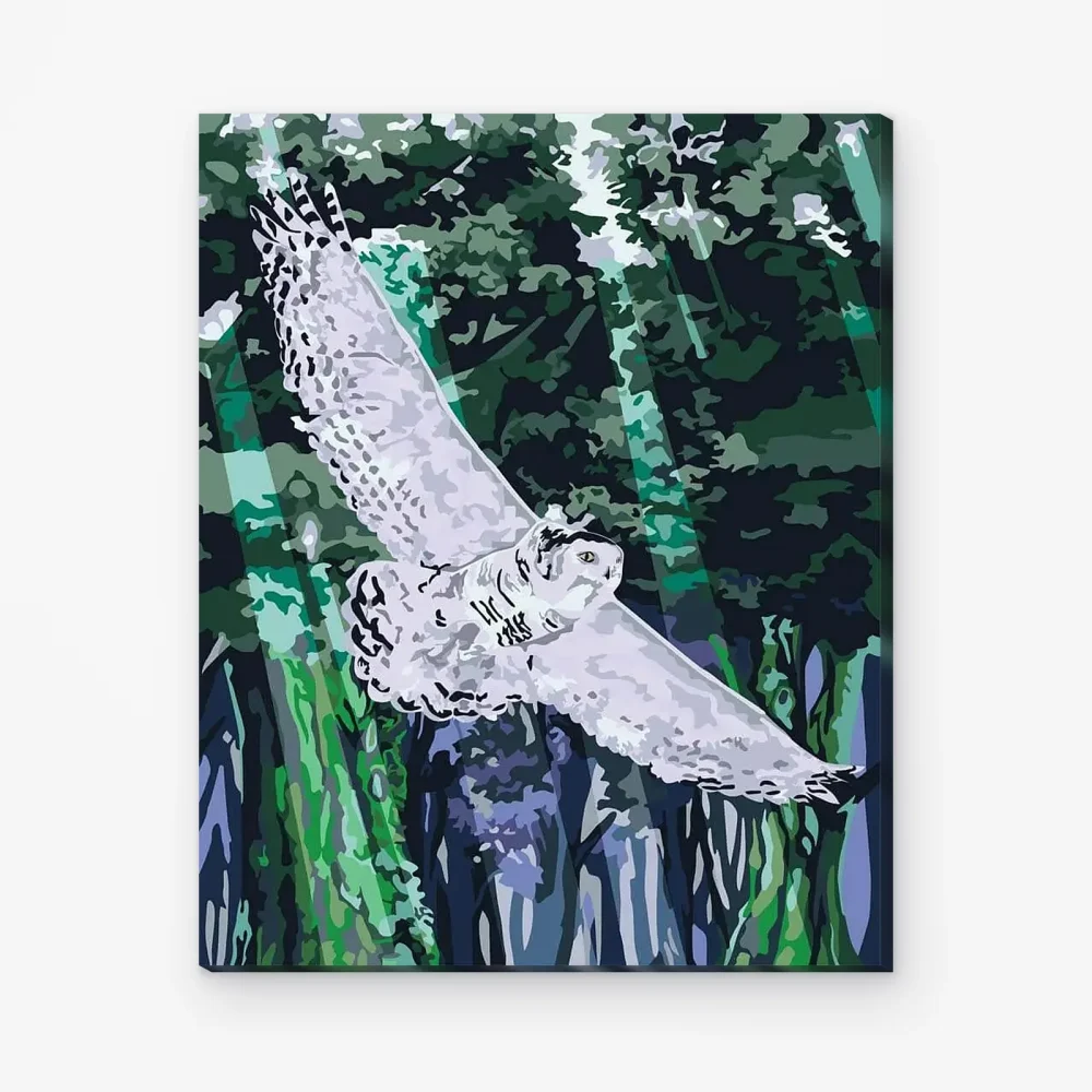 Pintar por Números - Búho en vuelo