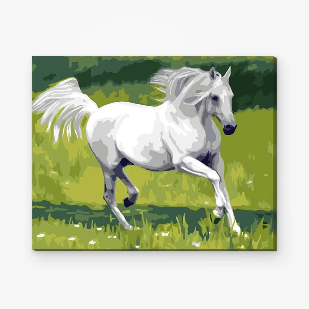 Pintar por Números - Caballo blanco al galope