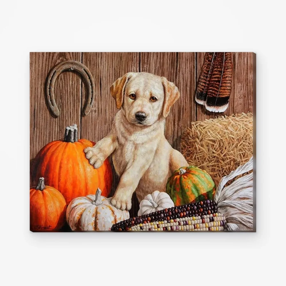 Pintar por Números - Cachorro de la cosecha de calabaza