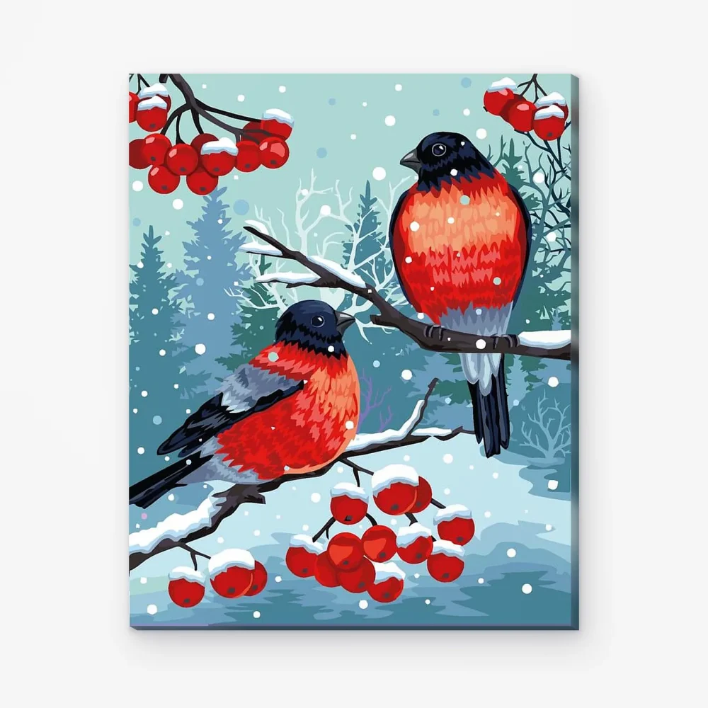 Pintar por Números - Camachuelo Pájaro Blanco