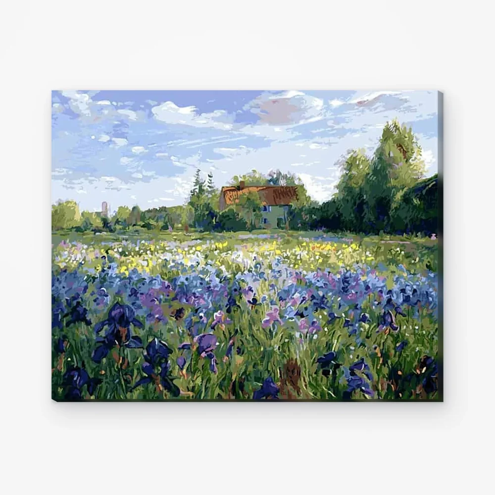 Pintar por Números - Campo de flores azules