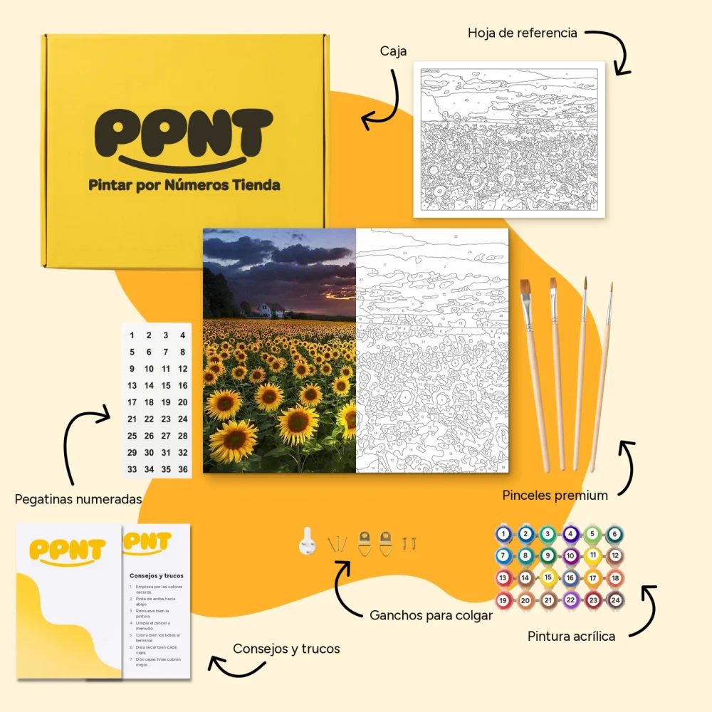 Pintar por Números - Campo de girasoles