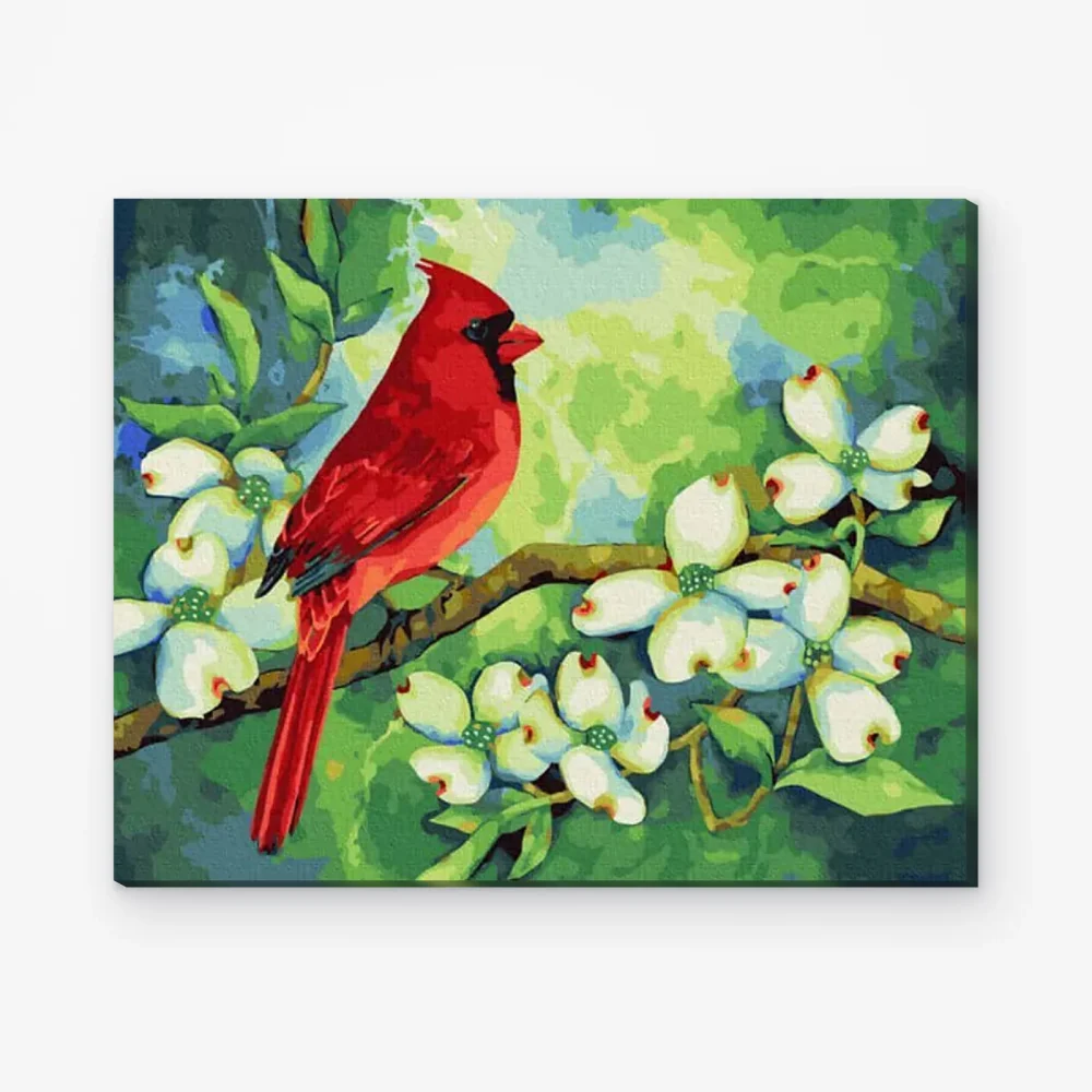 Pintar por Números - Cardenal