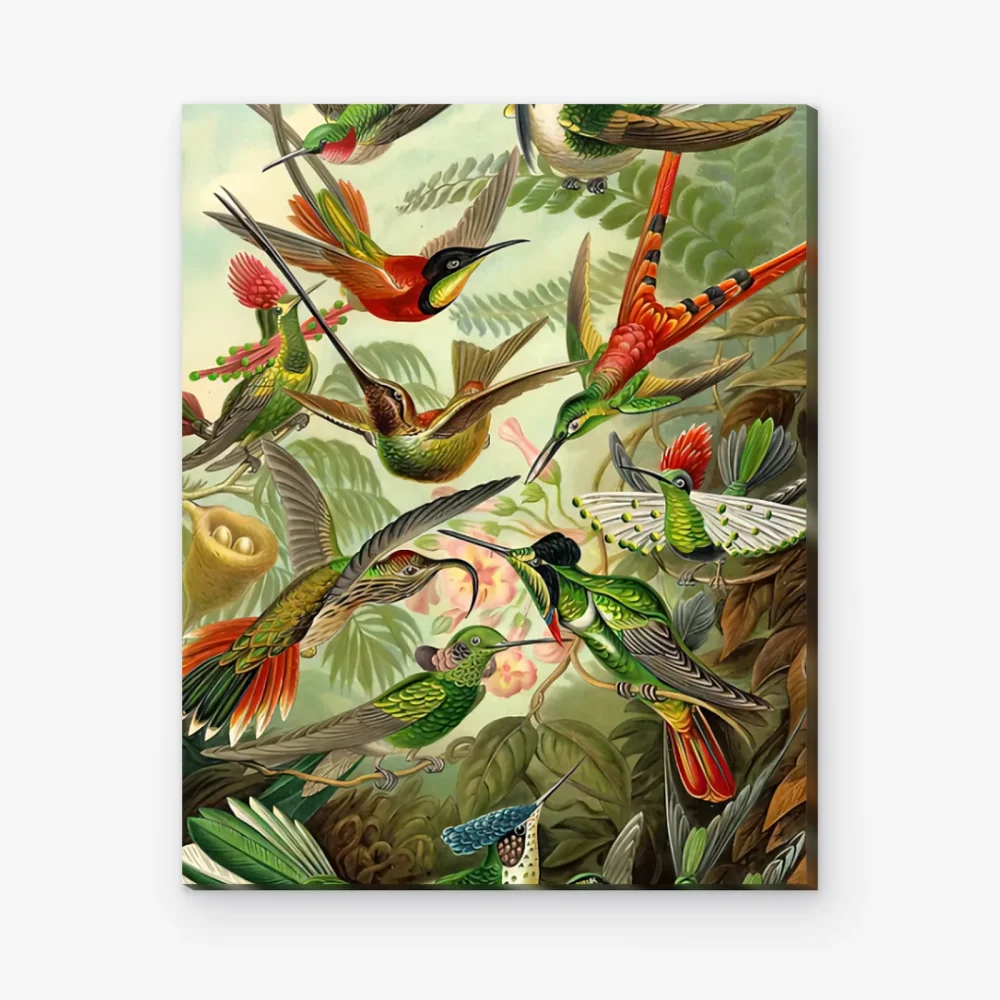 Pintar por Números - Colibríes