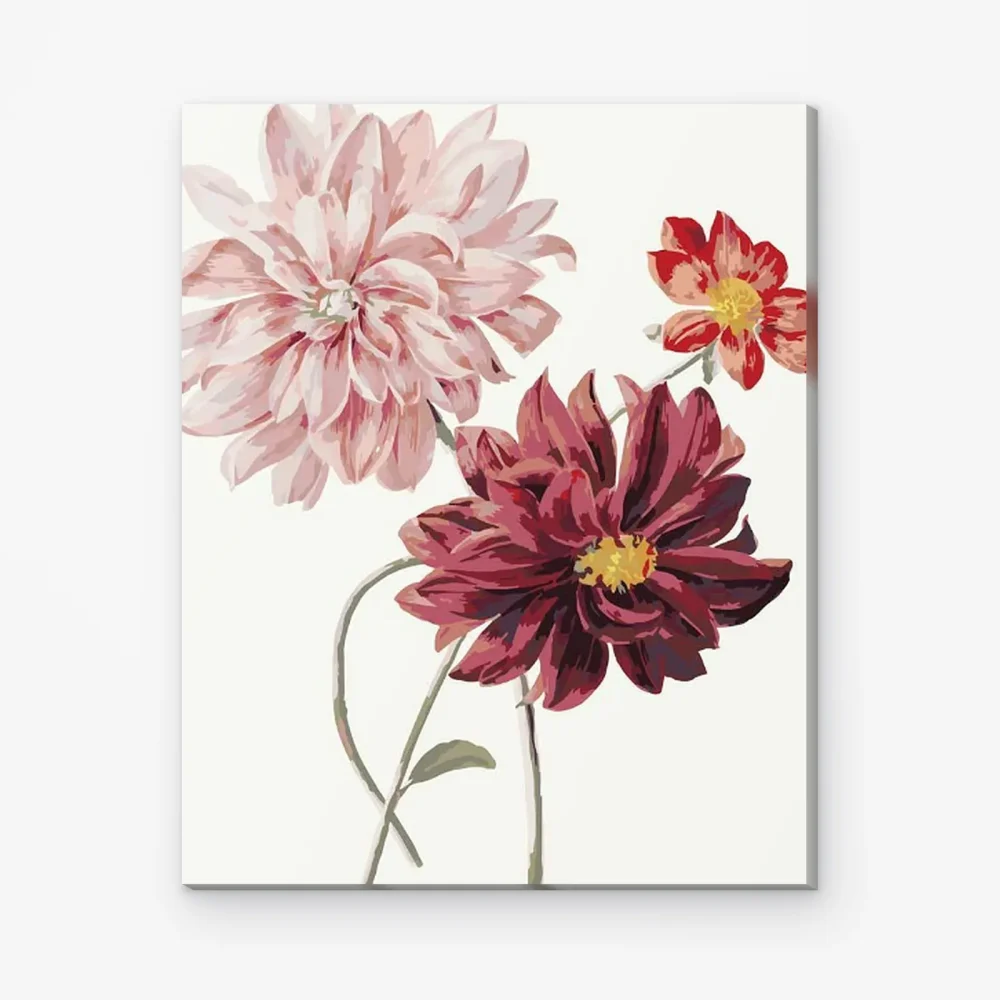 Pintar por Números - Dalias