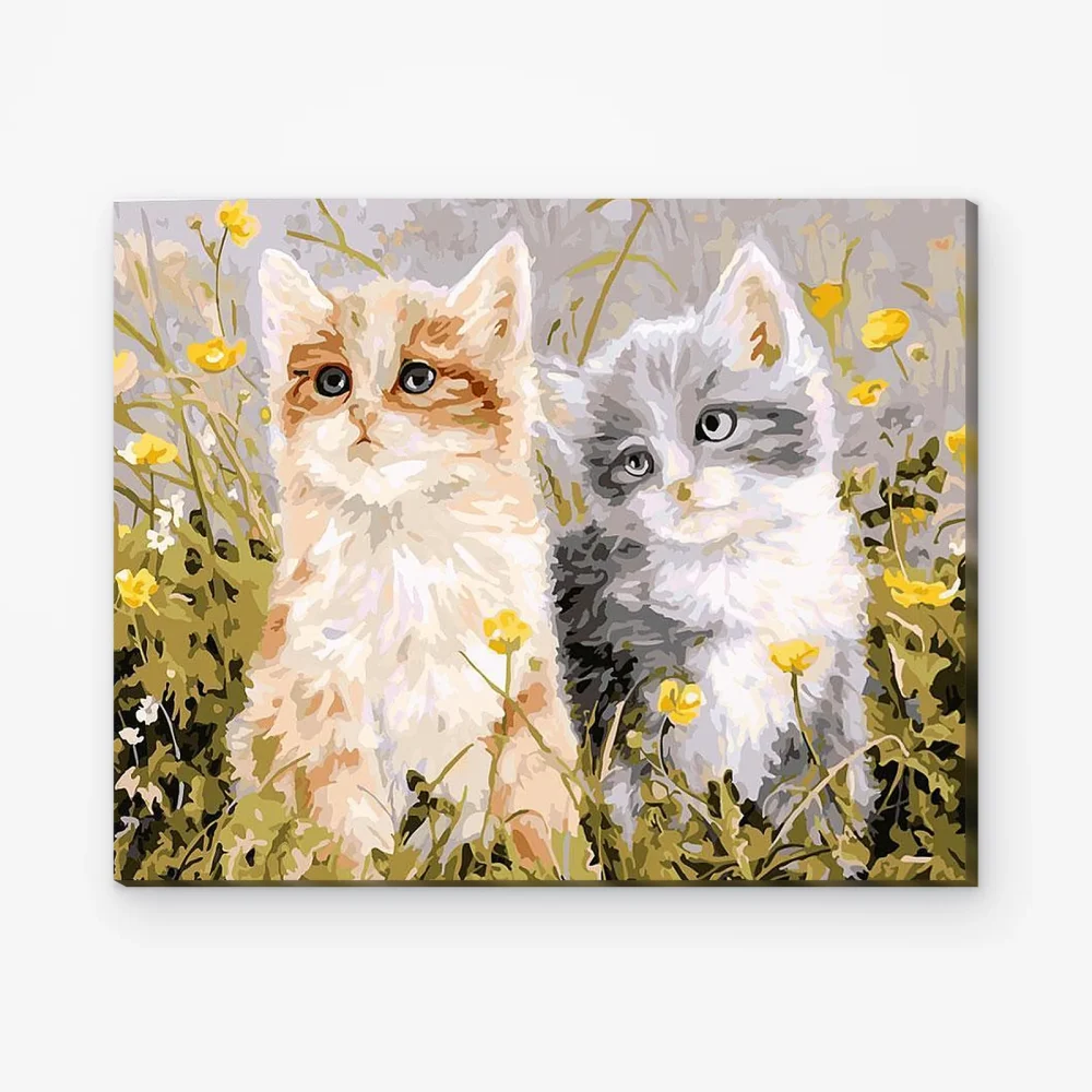 Pintar por Números - Dos gatos que hablan