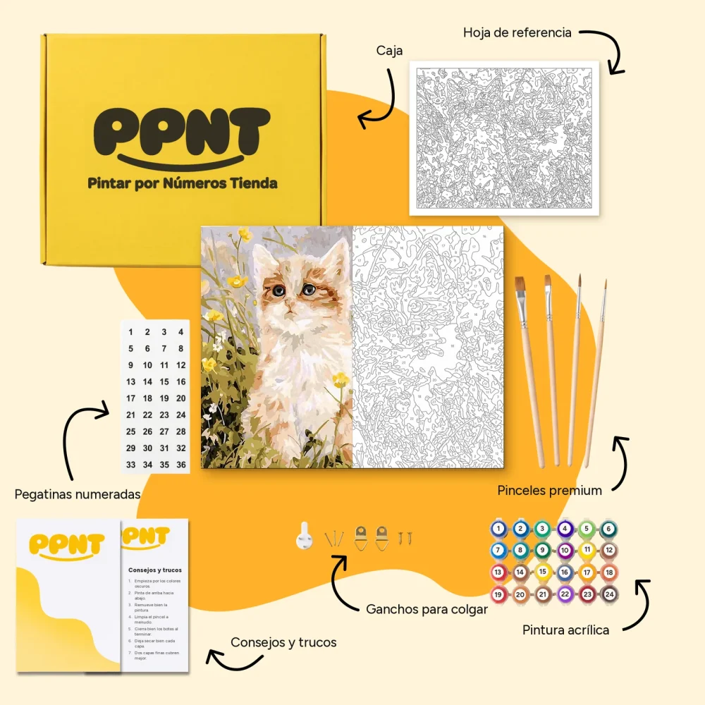 Pintar por Números - Dos gatos que hablan