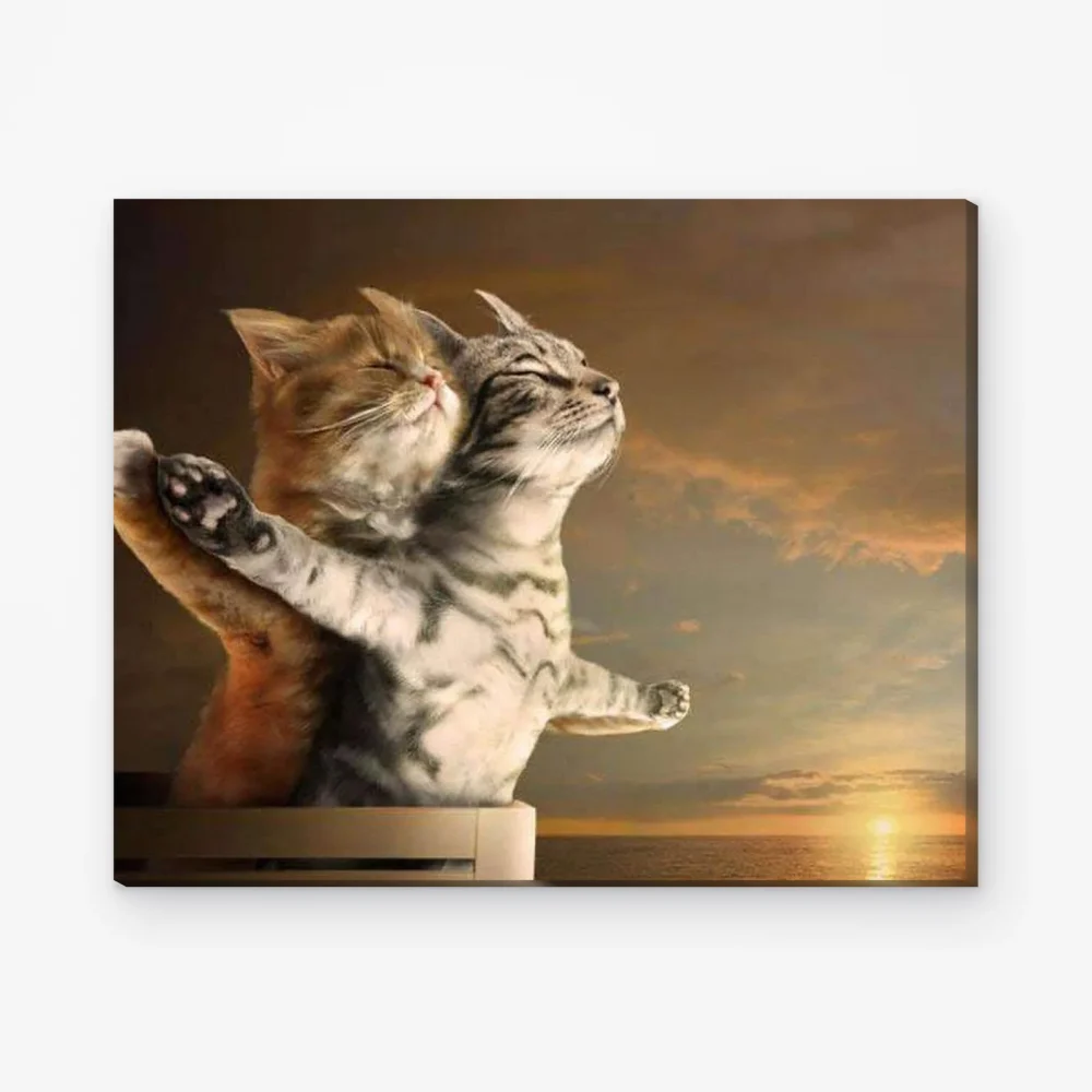 Pintar por Números - Dos gatos Titanic