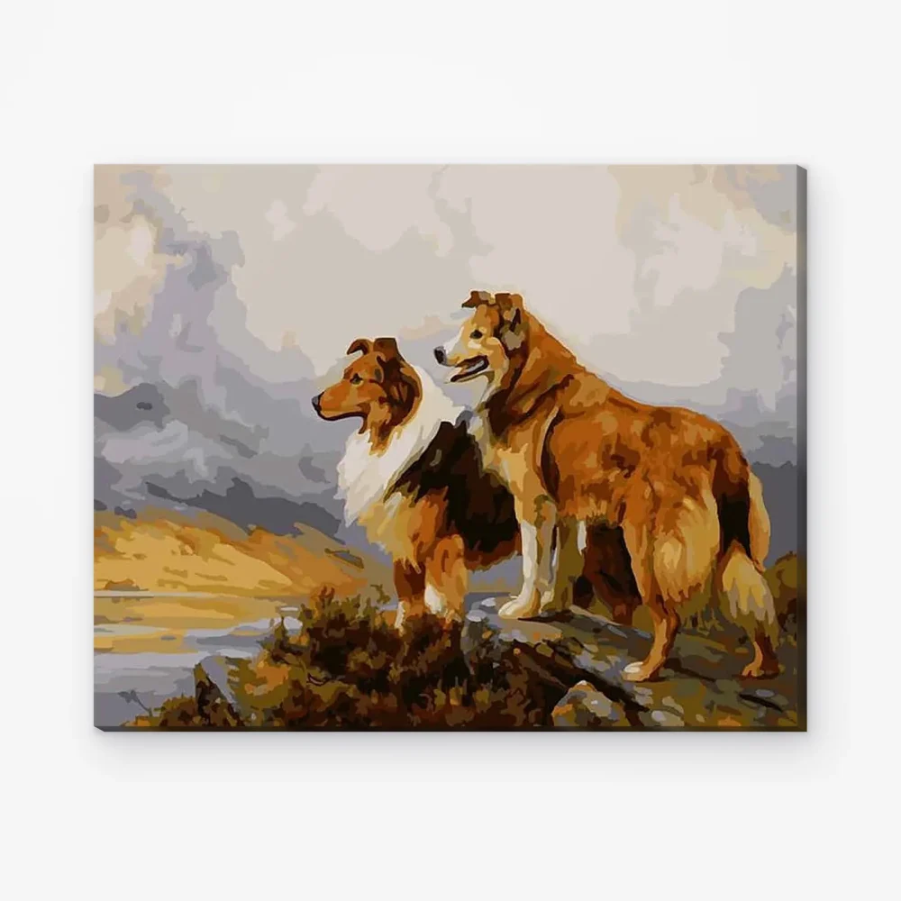 Pintar por Números - Dos hermosos perros