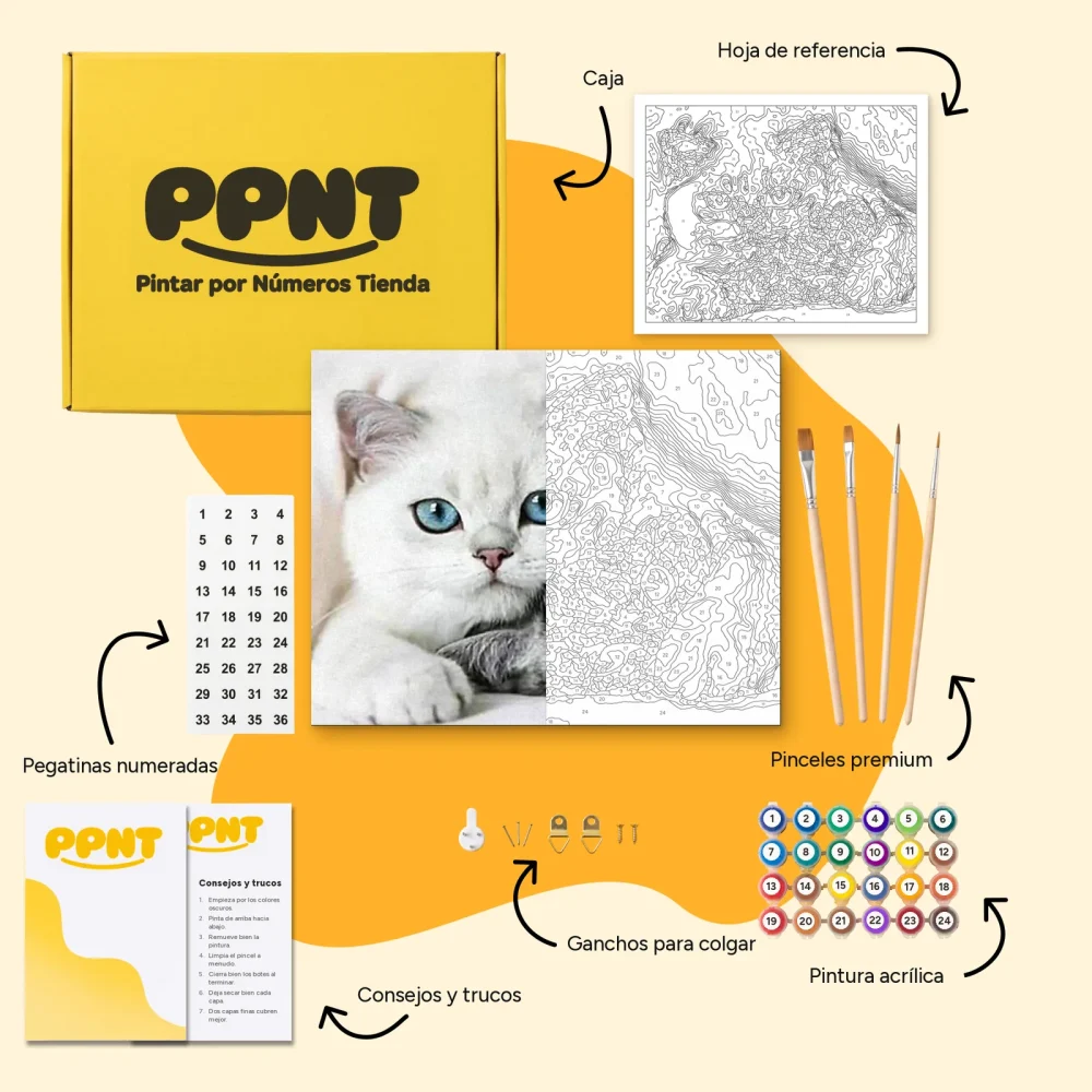 Pintar por Números - Dulces gatitos