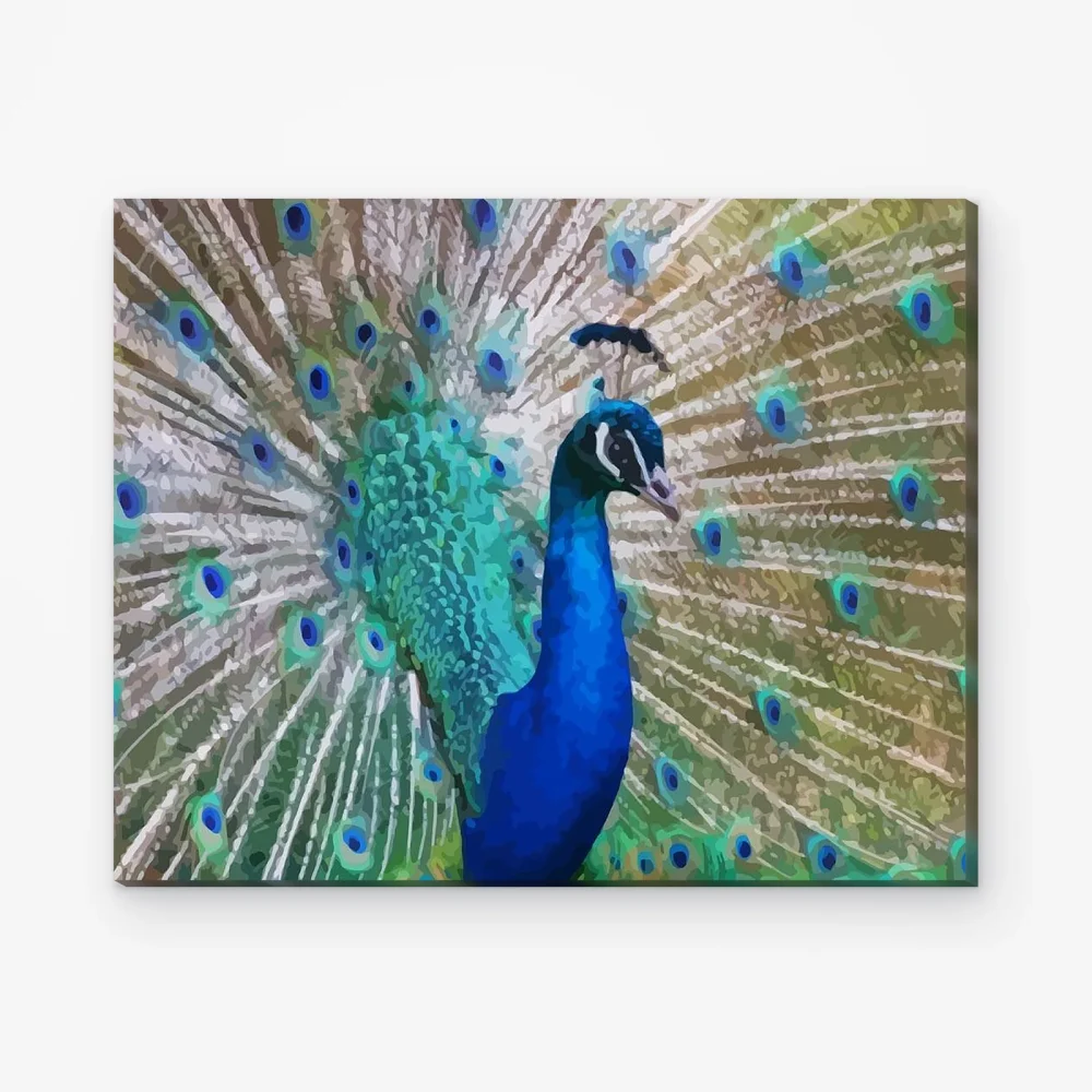 Pintar por Números - El pavo real de cerca