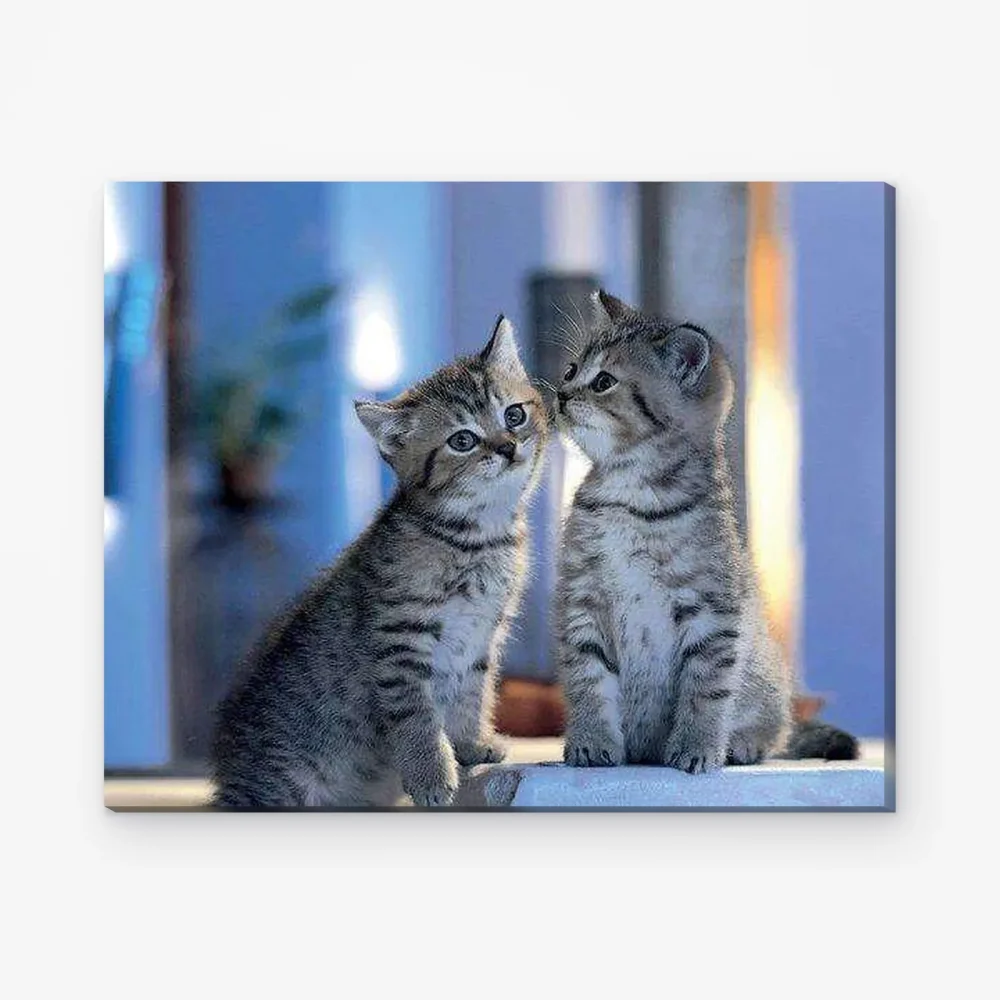 Pintar por Números - Familia Gatos
