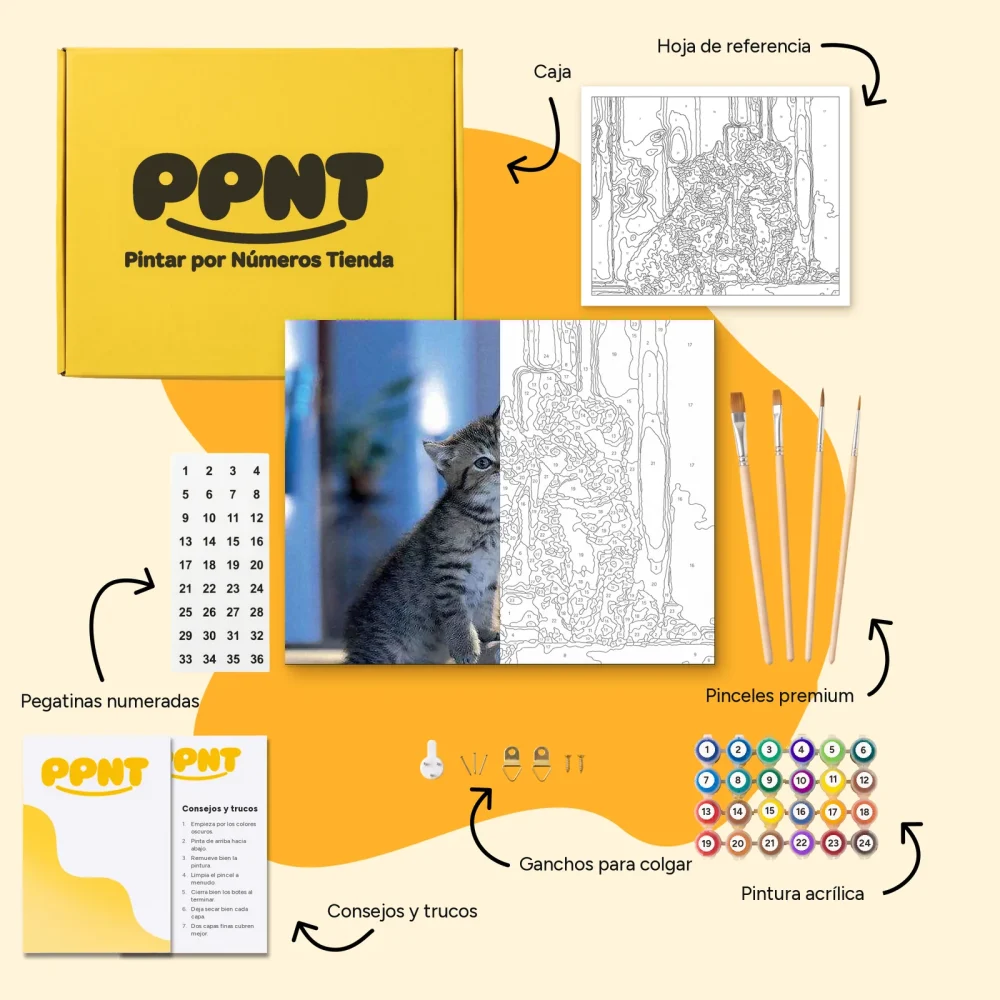 Pintar por Números - Familia Gatos
