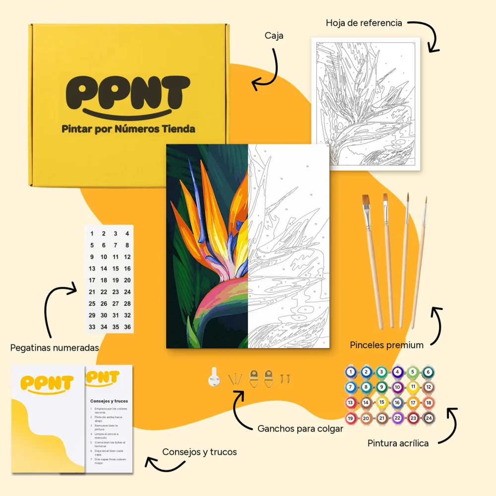 Pintar por Números - Flor Ave del Paraíso