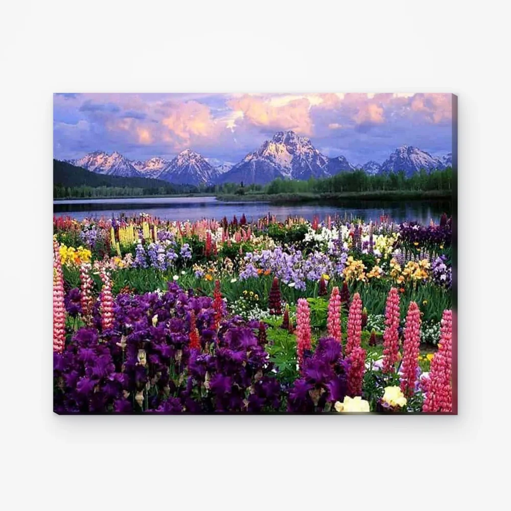 Pintar por Números - Flores en el campo