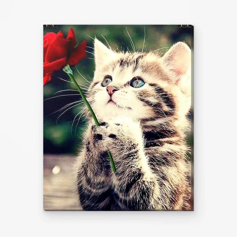 Pintar por Números - Gatita con rosa