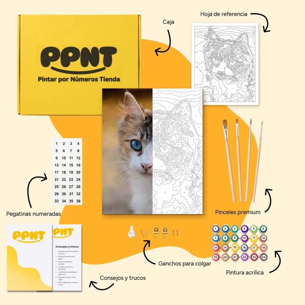 Pintar por Números - Gatito con ojos azules