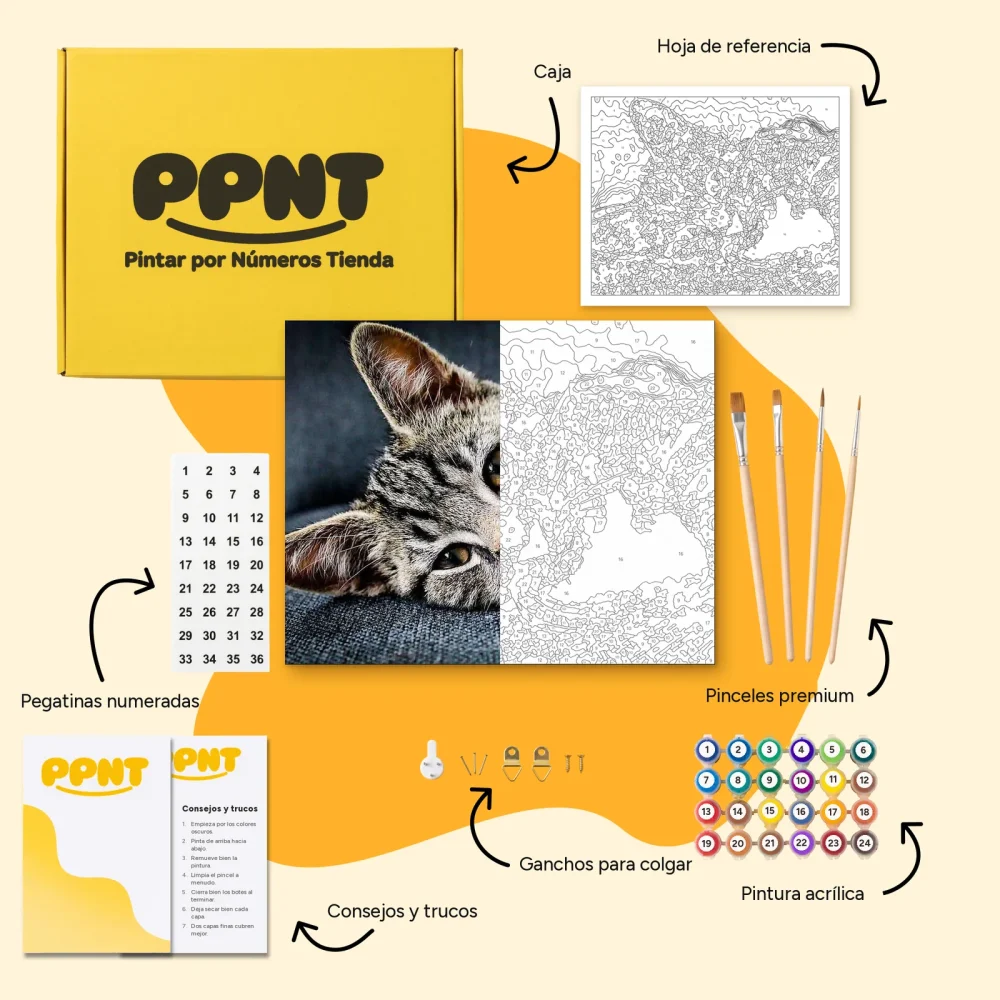 Pintar por Números - Gatito dormilón en el sofá