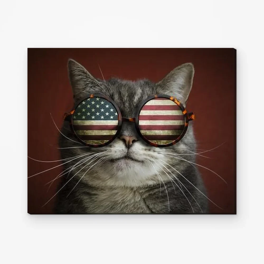 Pintar por Números - Gato americano