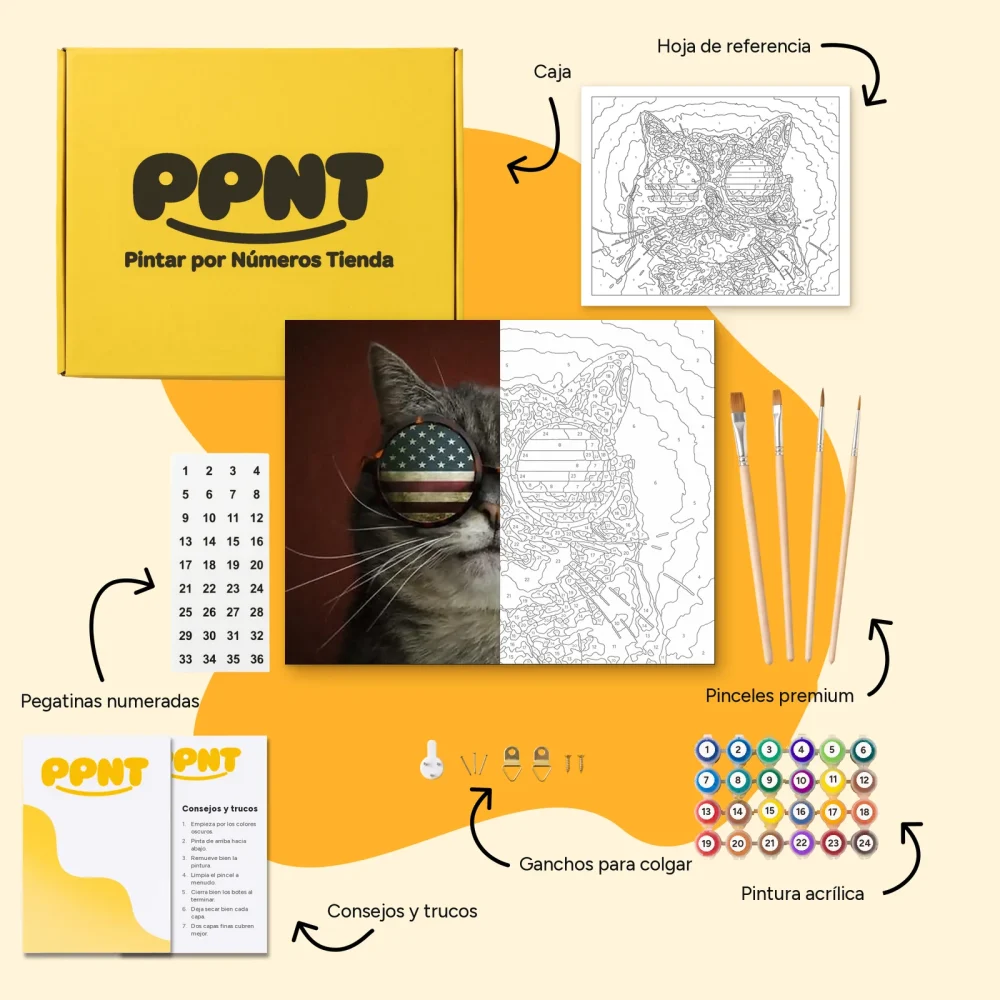 Pintar por Números - Gato americano