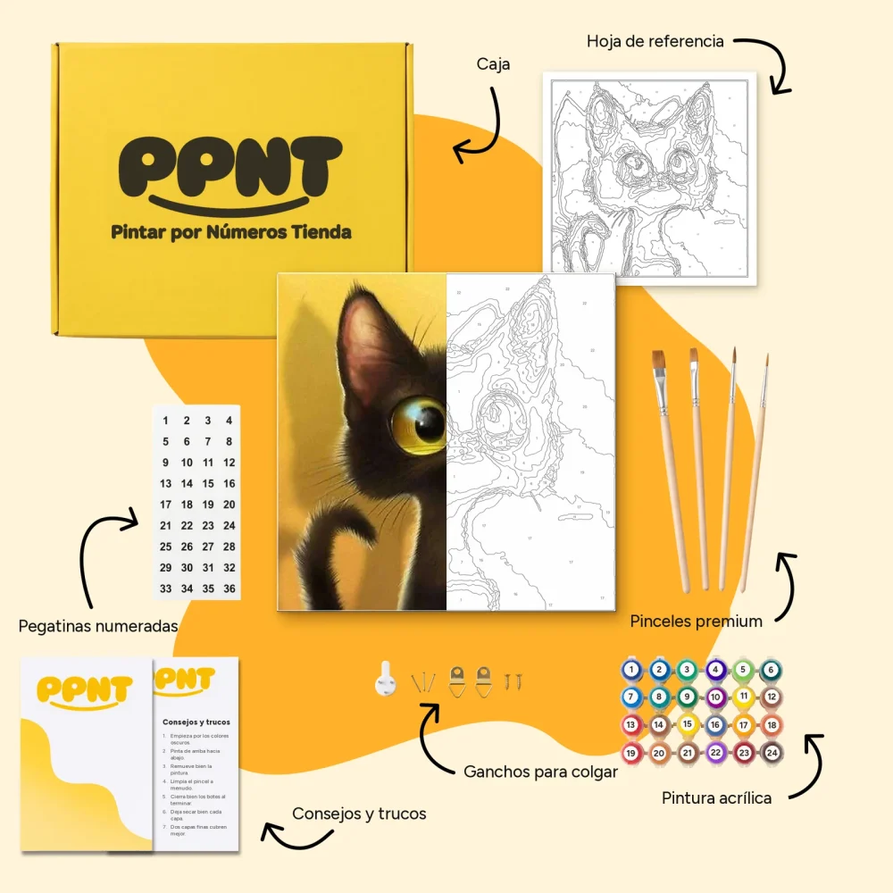 Pintar por Números - Gato asustado