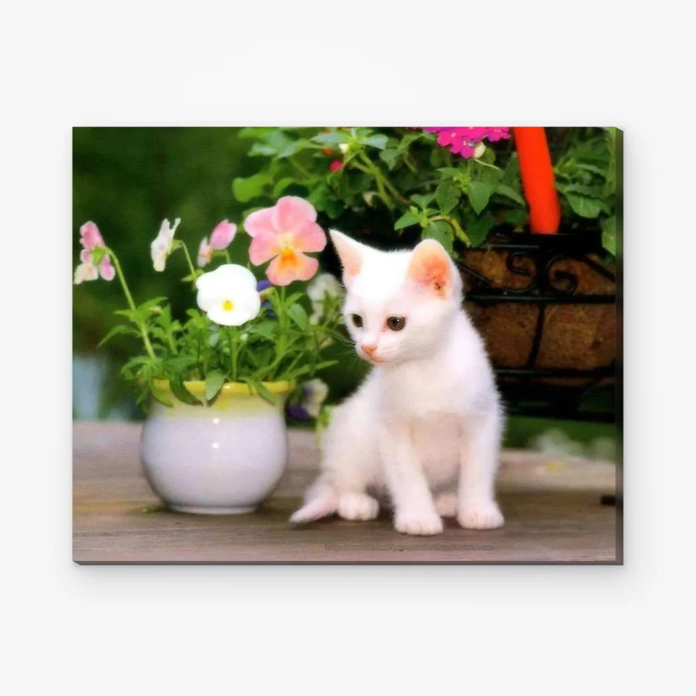 Pintar por Números - Gato blanco con flores en un jarrón