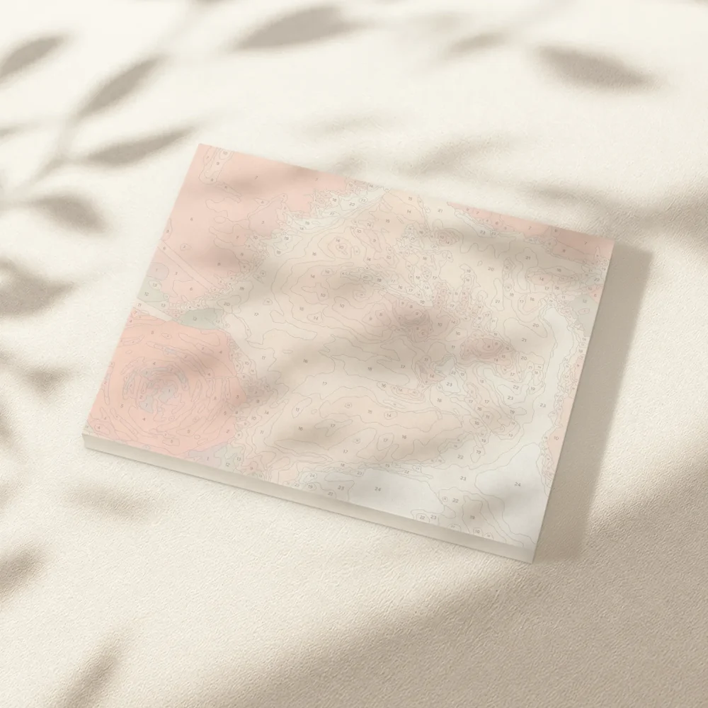 Pintar por Números - Gato blanco con rosa