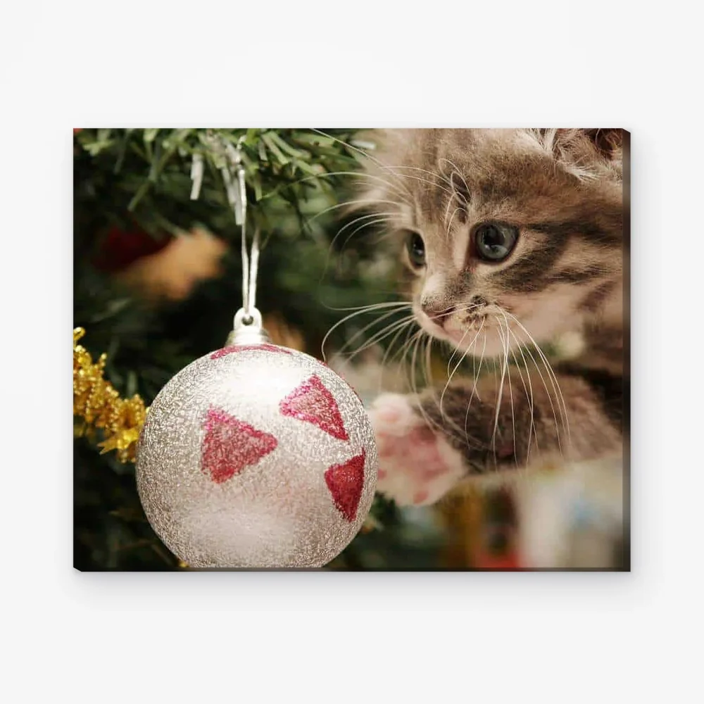 Pintar por Números - Gato con bola de Navidad