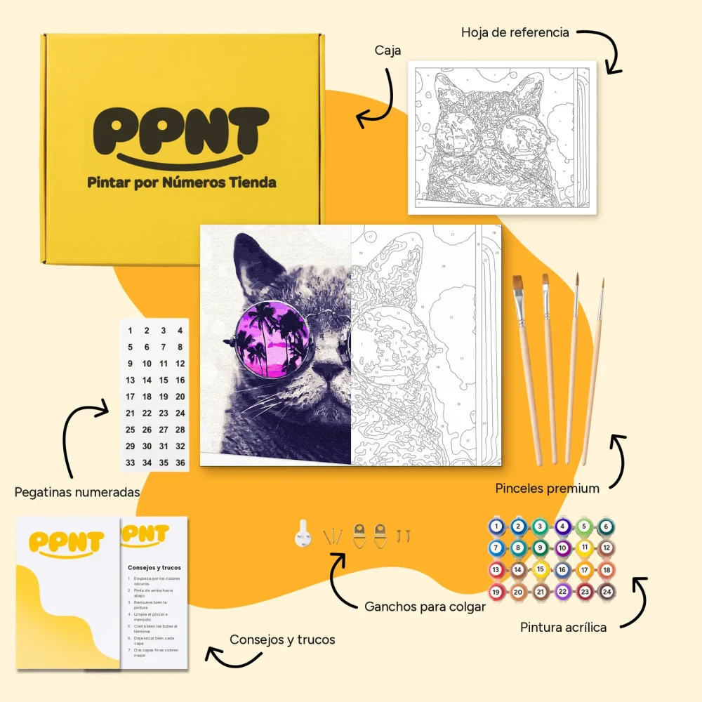 Pintar por Números - Gato con estilo