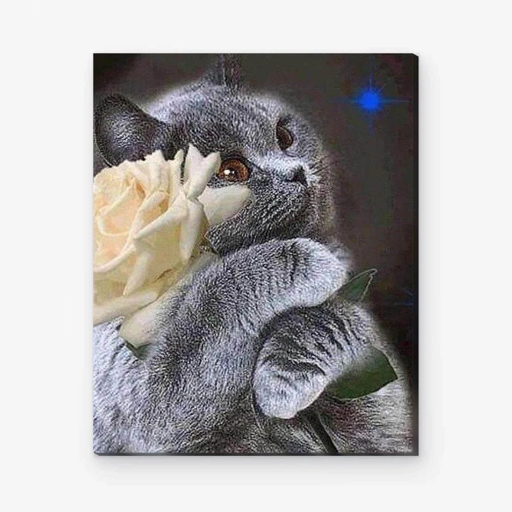 Pintar por Números - Gato con flor