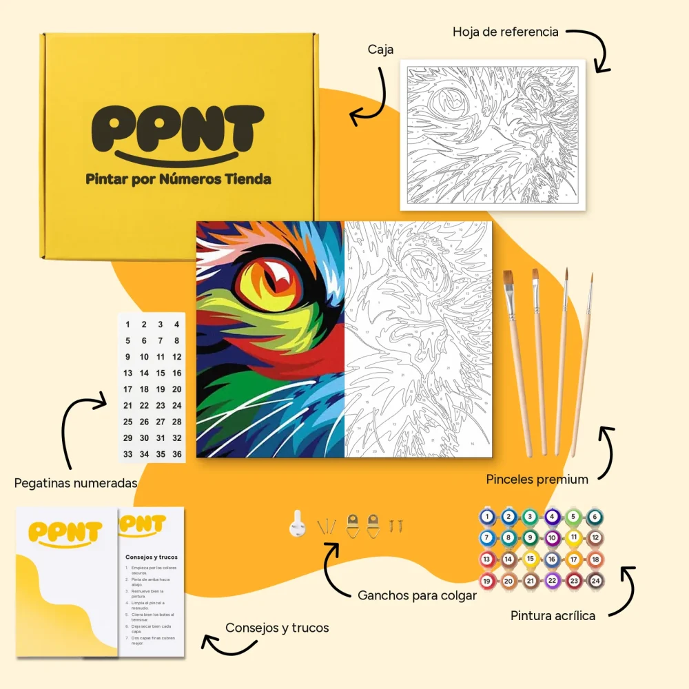 Pintar por Números - Gato de color