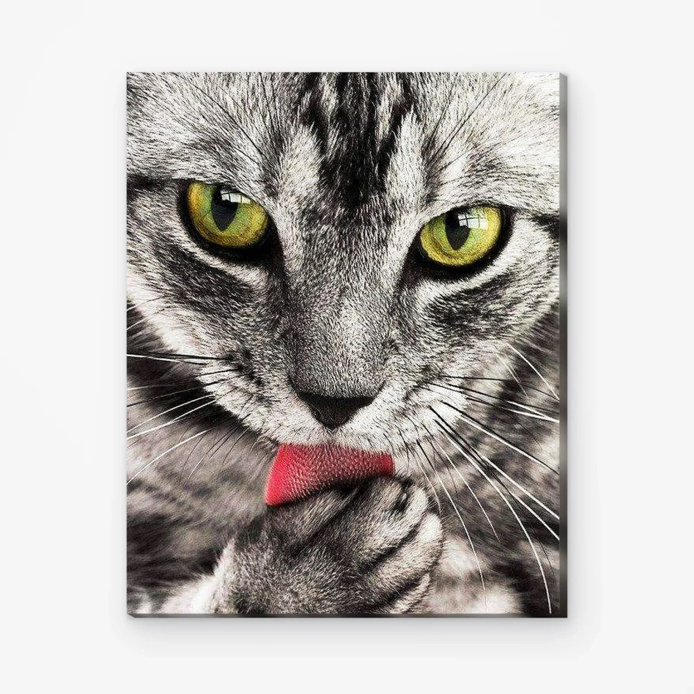 Pintar por Números - Gato de ojos verdes